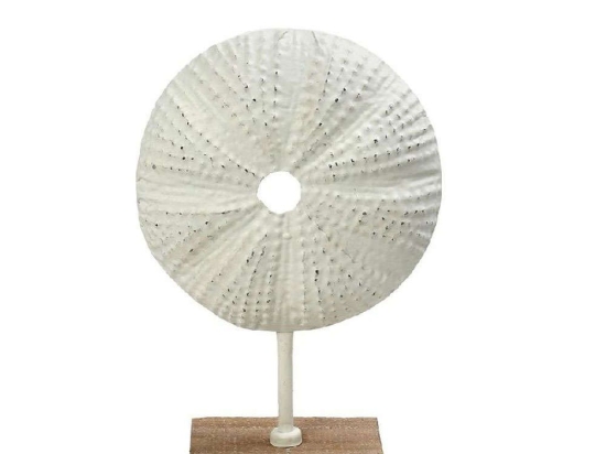 Επιτραπέζιο Διακοσμητικό Αχινός ICY306 20,5x10x31,5cm White Espiel Μέταλλο,Ξύλο