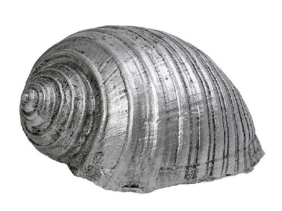 Διακοσμητικό Κοχύλι MT2732K4 11,5x9x6,5cm Silver Espiel Πολυρεσίνη