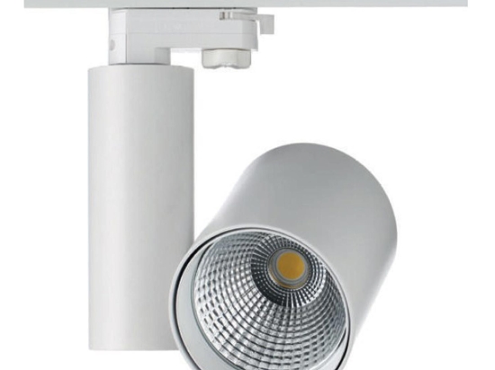 Σποτ Ράγας Led 4 Καλωδίων RONDE3030W4 30W 3000K 2700lm White Aca Αλουμίνιο