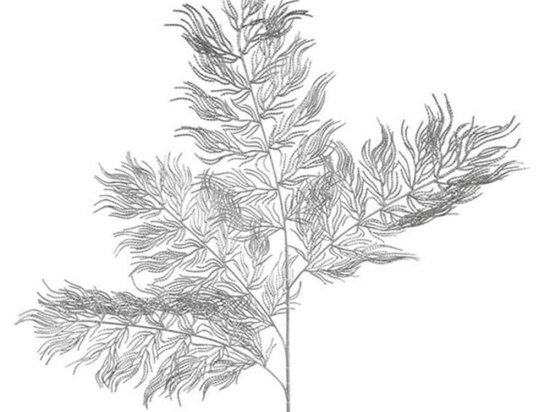 Κλαδί Φτέρη 013.785006 100cm Silver
