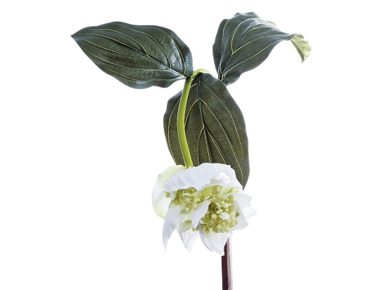 ΦΥΤΟ ARTELIBRE ΛΕΥΚΟ ΤΕΧΝΗΤΟ 86CM
