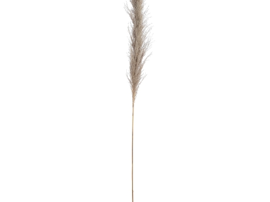 ΚΛΑΔΙ ΓΡΑΣΙΔΙ ARTELIBRE ΤΕΧΝΗΤΟ ΕΚΡΟΥ 150CM