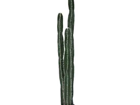 ΔΙΑΚΟΣΜΗΤΙΚΟ ΦΥΤΟ CACTUS II ΣΕ ΓΛΑΣΤΡΑ INART ΠΡΑΣΙΝΟ PP Υ155ΕΚ