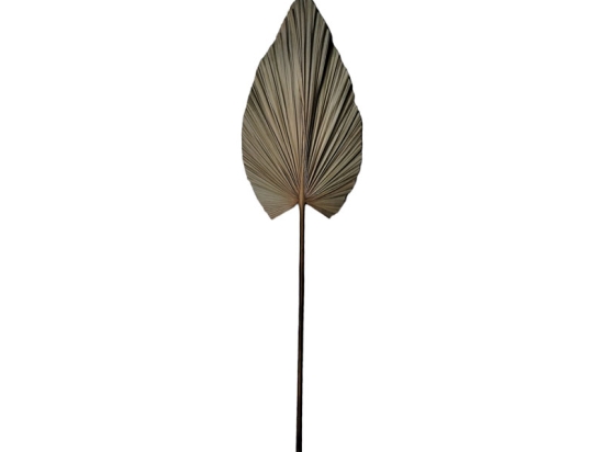 ΔΙΑΚΟΣΜΗΤΙΚΟ ΦΥΛΛΟ LEAFEN I INART ΦΥΣΙΚΟ PALM LEAF 130ΕΚ
