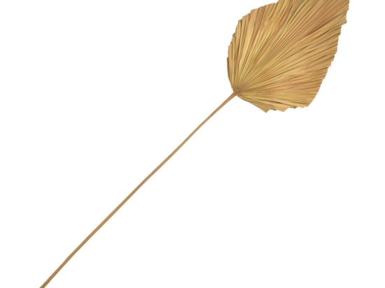 ΔΙΑΚΟΣΜΗΤΙΚΟ ΦΥΛΛΟ WALSY INART PALM LEAF ΣΕ ΦΥΣΙΚΗ ΑΠΟΧΡΩΣΗ Υ135 ΕΚ