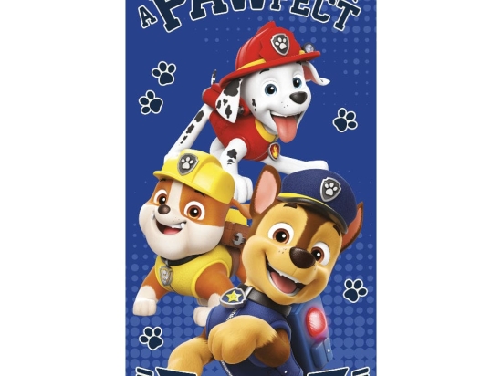 Borea Πετσέτα Θαλάσσης Microfiber Paw Patrol 70 x 140 cm Μπλε