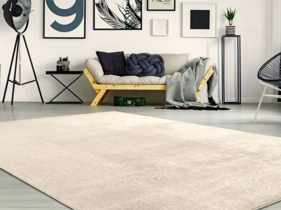 Paco Home Χαλί Soft Μπουκλέ 200x280 - Luxus Εκρού