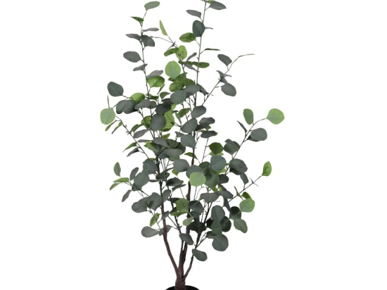 Διακοσμητικό φυτό Eucalyptus σε γλάστρα Inart πράσινο pp Υ120εκ