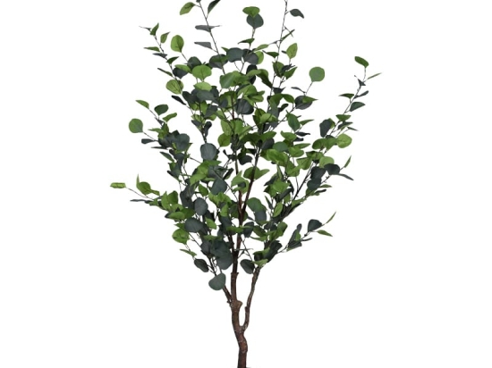 Διακοσμητικό φυτό Eucalyptus Ι σε γλάστρα Inart πράσινο pp Υ150εκ