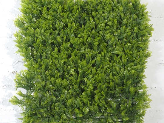 Τεχνητή φυλλωσιά φτέρη Maidenhair 50x50 εκ