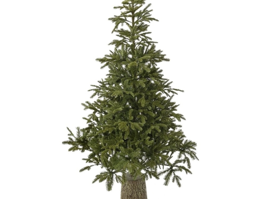 Mountain Pine χριστουγεννιάτικο δέντρο με fiber glass βάση 240 εκ