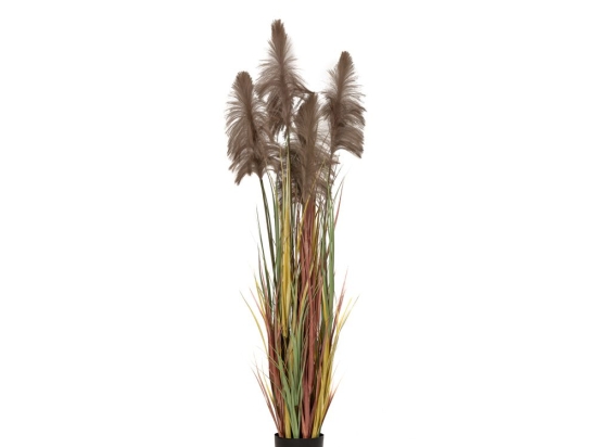 Γλάστρα με διακοσμητικά κλαδιά pampas grass σε καφέ απόχρωση 20x180 εκ