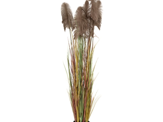 Γλάστρα με διακοσμητικά κλαδιά pampas grass σε καφέ απόχρωση 20x220 εκ