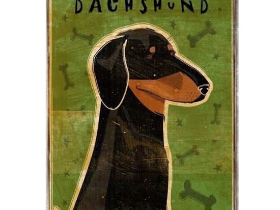 Dachshund πινακάκι με σκυλάκι ράτσας