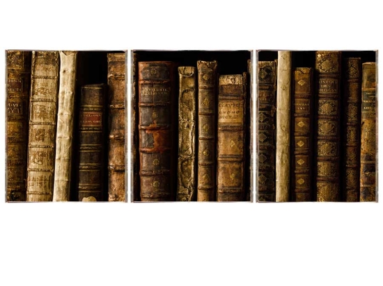 Books τρίπτυχος πίνακας χειροποίητος 
