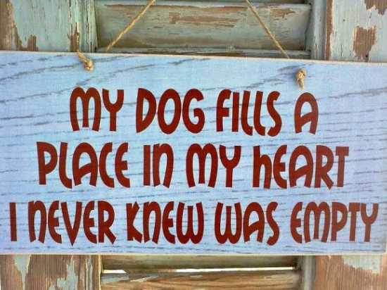 Πίνακας χειροποίητος με επιγραφή my dog fills a place in my heart 26x13 εκ