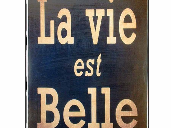 Πίνακας χειροποίητος la vie est belle 20x25 εκ