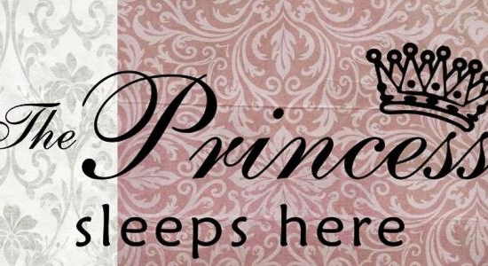 Ξύλινος ρετρό πίνακας χειροποίητος the princess sleeps here 26x13 εκ