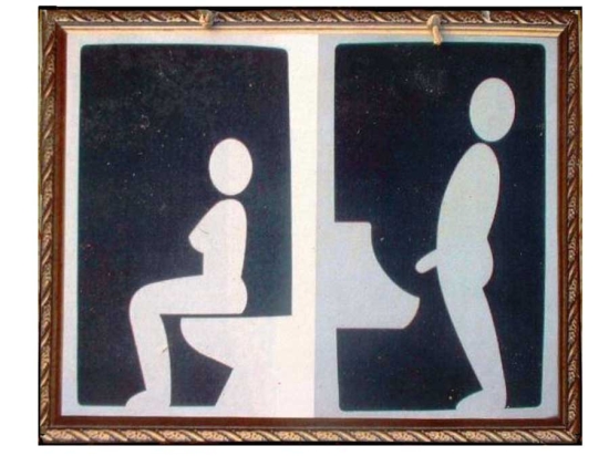 Πίνακας xειροποίητος για το wc 25x20 εκ