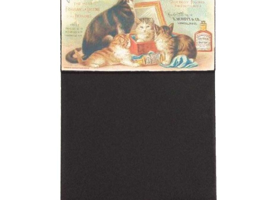 Cats χειροποίητος μαυροπίνακας 26x38 εκ
