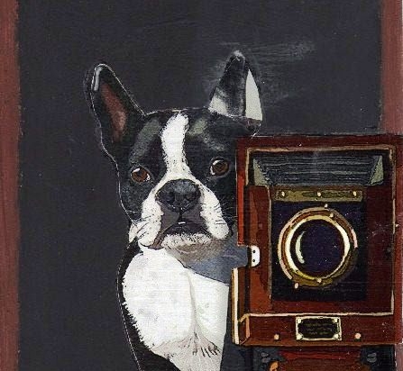 Smart dog χειροποίητος μαυροπίνακας