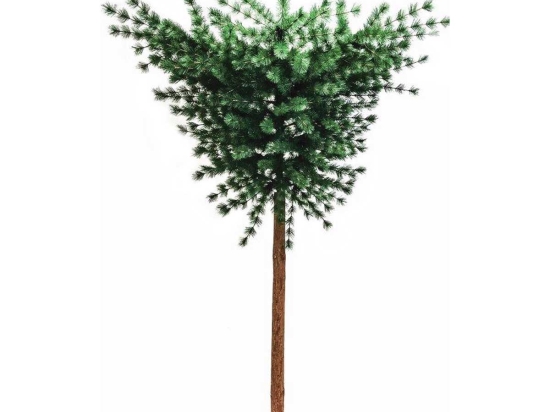 Umbrella Natural Χριστουγεννιάτικο δέντρο ομπρέλα 255 εκ