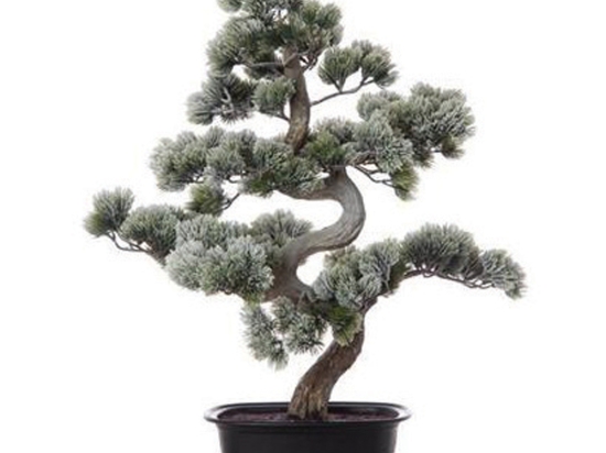 Διακοσμητικό Bonsai χιονισμένο σε γλάστρα 68 εκ