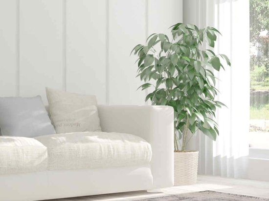Χαλί Vintage 8401 Petrol Arte Espina 200X290cm