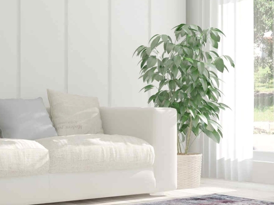 Χαλί Vintage 8403 Anthracite Arte Espina 200X290cm