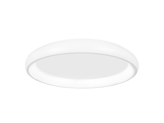 ΦΩΤΙΣΤΙΚΟ ΟΡΦΗΣ ΠΛΑΦΟΝΙΕΡΑ Ø40 30W ΛΕΥΚΟ 2041 | ZAMBELIS LIGHTS