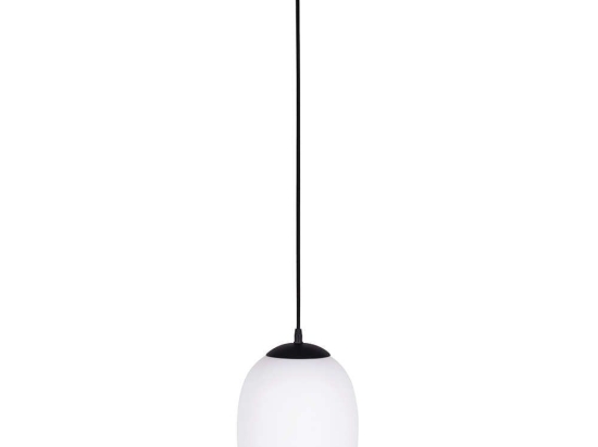 Φωτιστικό Οροφής 20268 1xE27 Max 20W Γυάλινο Οπάλ Black Matt Μέταλλο,Γυαλί