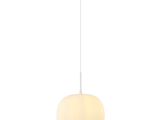 Φωτιστικό Οροφής 20125 1xE27 Max 40W Φ30cm Γυάλινο Οπάλ White Matt Μέταλλο,Γυαλί