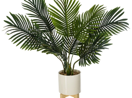 Φυτό σε γλάστρα Green4  pakoworld 83x75x65εκ
