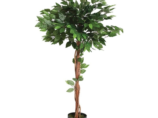 Φυτό σε γλάστρα Green8 pakoworld 45x45x120εκ