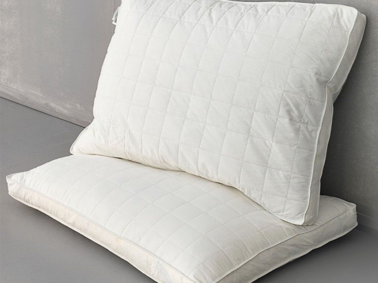 Μαξιλάρια Ύπνου Σετ 2τμχ Aloe Vera Fresh Pillow (Combo 1) White Palamaiki 50Χ70 50x70cm Πούπουλο-Φτερό