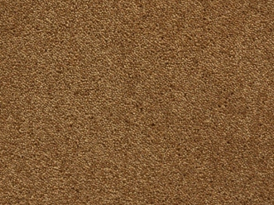 Χαλί Faux Silk Pax 5570-330 Gold Angelo 300X400cm
