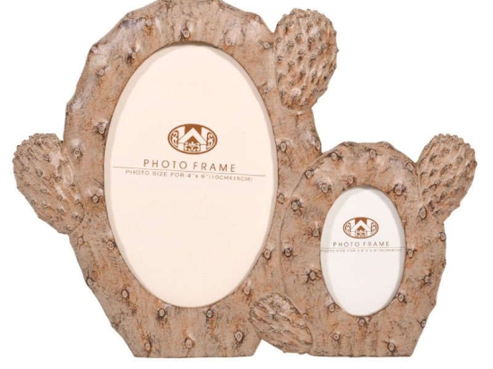 Κορνίζα Διπλή "Κάκτος" 19.5cm Brown 1-272-91-049 Etiquette Πολυρεσίνη