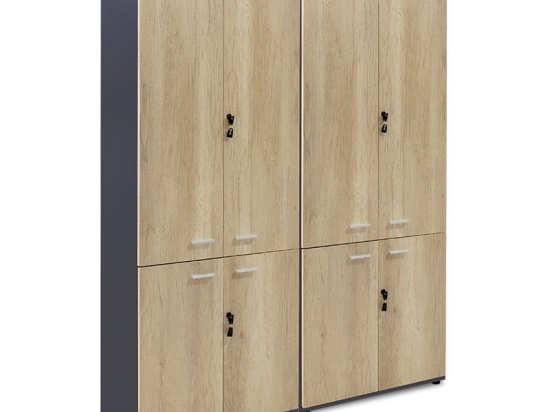 Ντουλάπα Γραφείου Τετράφυλλη Lotus 200-000172 Natural-Anthracite 160x40x200