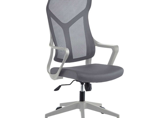 Πολυθρόνα Γραφείου Διευθυντή Flexibility 254-000005 53x50x120/130cm Grey