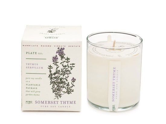 Αρωματικό Κερί Plant The Box Με Σπόρους Somerset Thyme 283gr Kobo Κερί Σόγιας