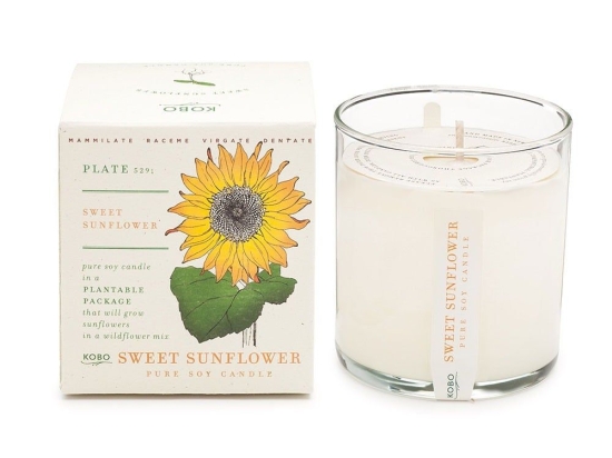 Αρωματικό Κερί Plant The Box Με Σπόρους Sweet Sunflower 283gr Kobo Κερί Σόγιας