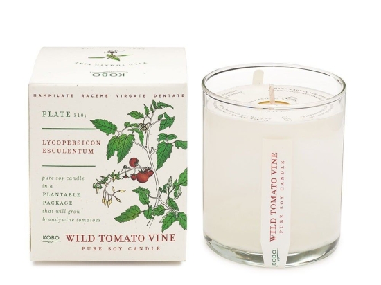 Αρωματικό Κερί Plant The Box Με Σπόρους Wild Tomato Vine 283gr Kobo Κερί Σόγιας