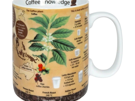 Κούπα Coffee Knowledge 1113302653 490ml Multi Könitz Πορσελάνη