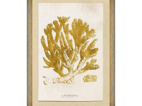 Κάδρο Caribbean Sea Life - Anthozoa Coral FA13223 50X70 MindTheGap Κάθετοι Ξύλο