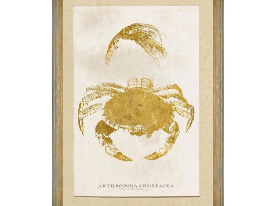 Κάδρο Caribbean Sea Life - Arthropoda Crustacea FA13178 50X70 MindTheGap Κάθετοι Ξύλο