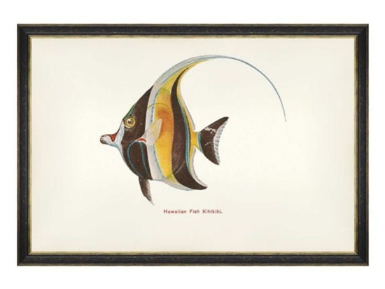 Κάδρο Fishes Of Hawaii - Kihikihi Fish FA13208 60X40 MindTheGap Οριζόντιοι Ξύλο