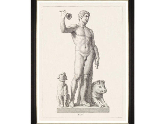 Κάδρο Greek Godess And Gods - Adonis FA13113 60X80 MindTheGap Κάθετοι Ξύλο