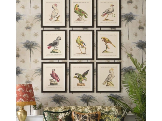 Κάδρο Parrots Of Brasil I FA13211 40X50 MindTheGap Οριζόντιοι Ξύλο