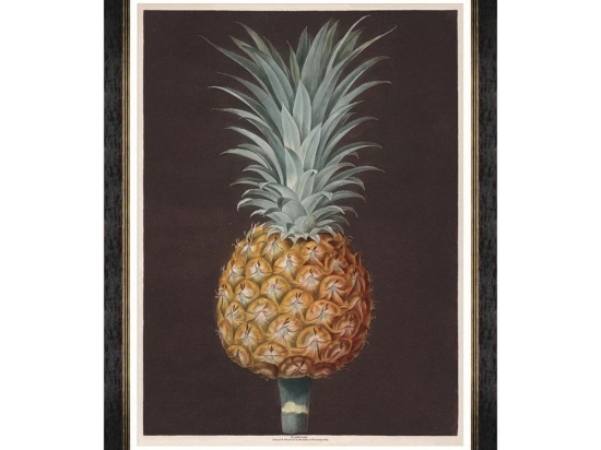 Κάδρο Pineapples Of Antigua - The Antigua Pine By Brookshaw FA13199 60X80 MindTheGap Κάθετοι Ξύλο
