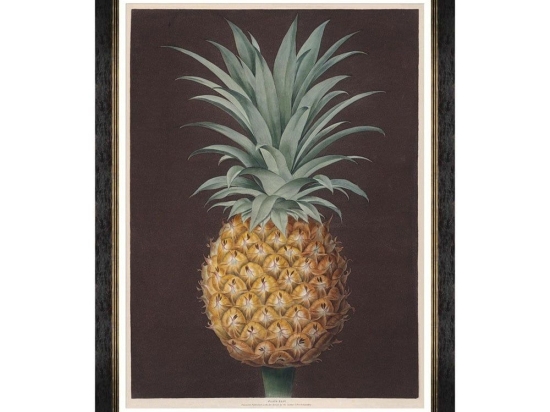 Κάδρο Pineapples Of Antigua - The Havannah Pine By Brookshaw FA13200 60X80 MindTheGap Κάθετοι Ξύλο